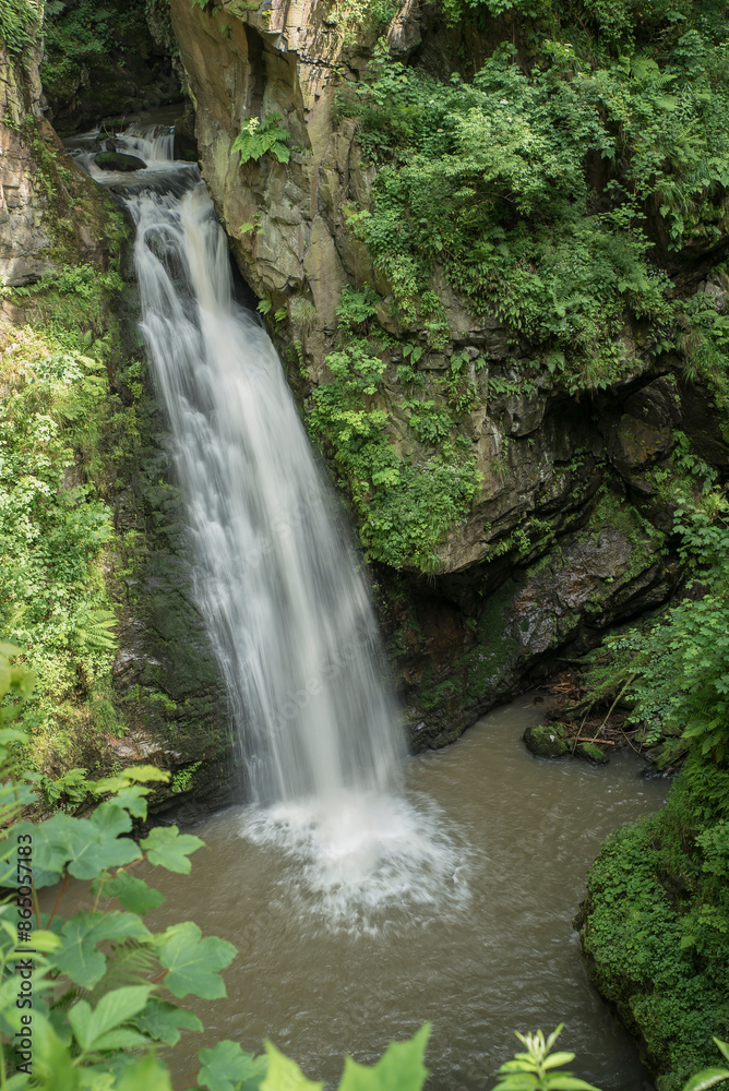 Naklejka premium wodospad w leśnym otoczeniu, bujnej zieleni lata.