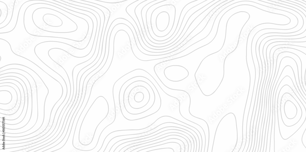Fototapeta premium White wave paper curved reliefs abstract background. The topographic map contour in lines isolated. Abstract white topographic map background with lines. Background of the topography map.