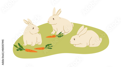 Farm rabbits. Cute bunnies on grass, eating carrot. Cute domestic country animals, rural countryside. Village country fauna. Flat graphic vector illustration isolated on white background