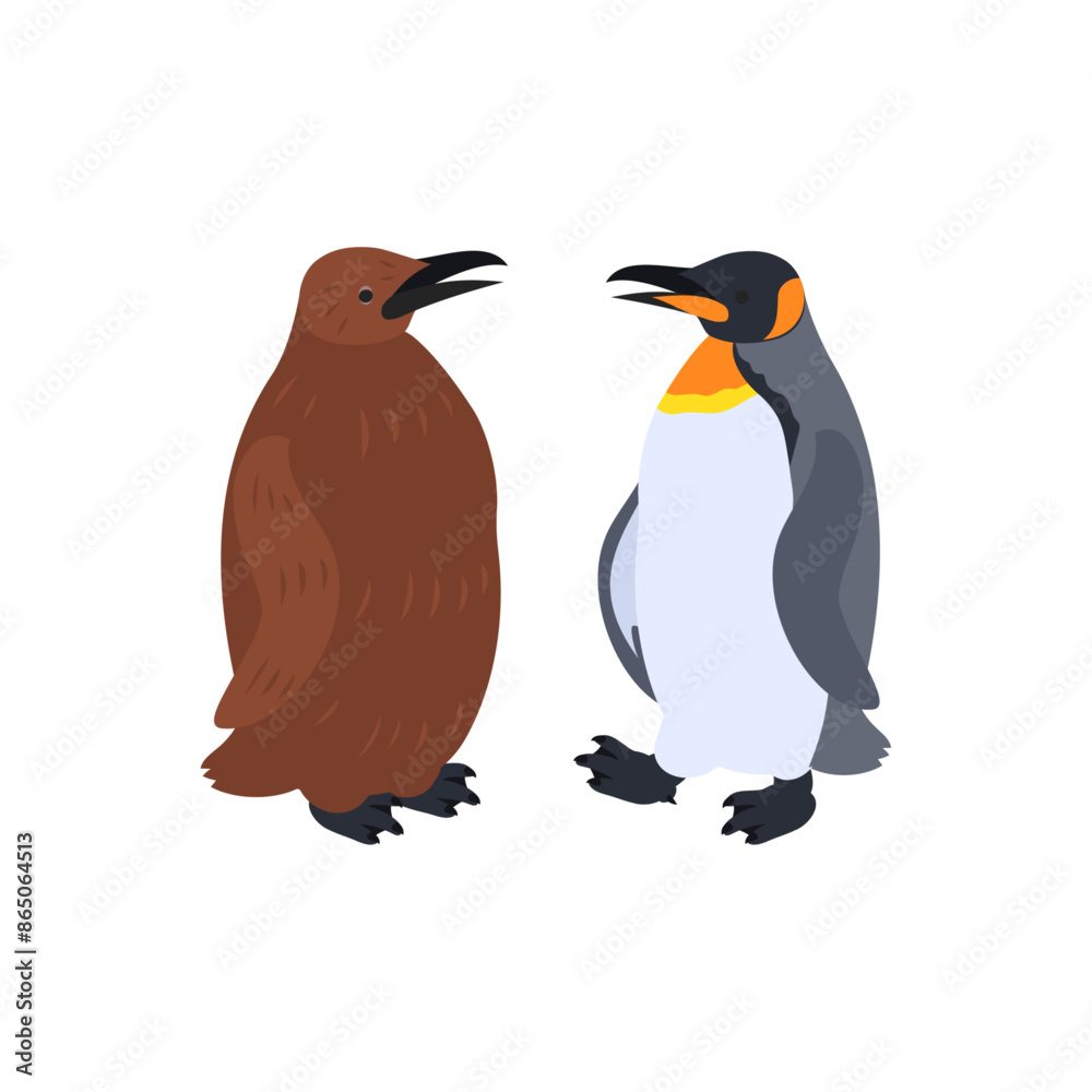 Naklejka premium オウサマペンギン（キングペンギン）の雛と成鳥。フラットなベクターイラスト。 King penguin chick and adult. Flat vector illustration.