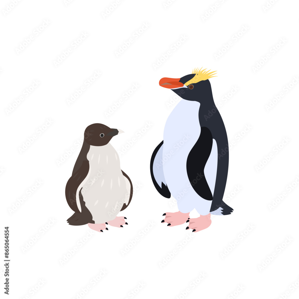 Obraz premium シュレーターペンギン（マユダチペンギン）の雛と成鳥。フラットなベクターイラスト。 Erect-crested penguin (Big-crested penguin) chick and adult. Flat vector illustration. 