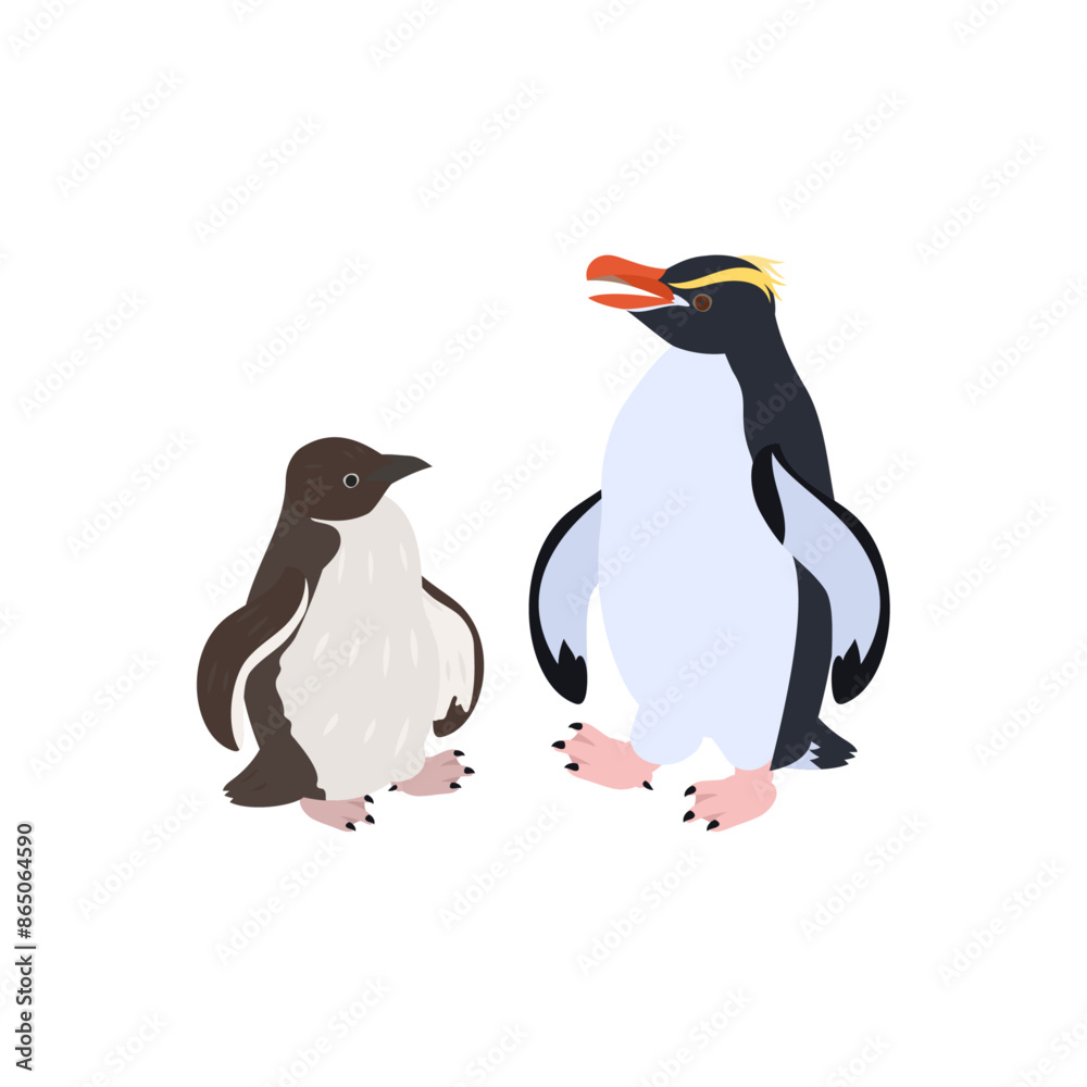 Fototapeta premium スネアーズペンギン（ハシブトペンギン）の雛と成鳥。フラットなベクターイラスト。 Snares Islands penguin (Snares penguin) chick and adult. Flat vector illustration.