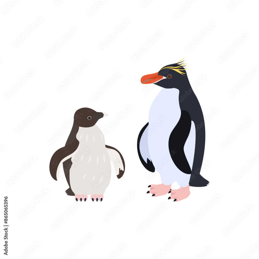 Naklejka premium マカロニペンギンの雛と成鳥。フラットなベクターイラスト。 Macaroni penguin chick and adult. Flat vector illustration.