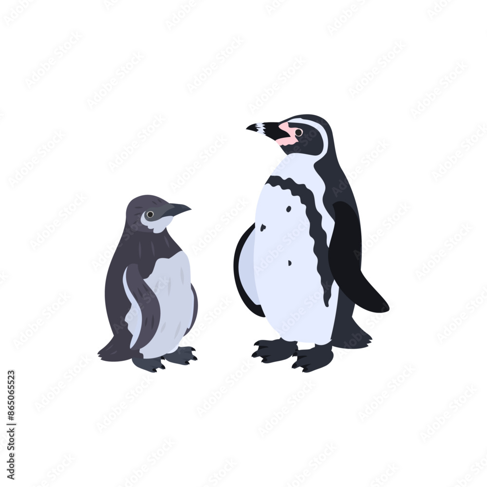 Naklejka premium フンボルトペンギンの雛と成鳥。フラットなベクターイラスト。 Humboldt penguin (Peruvian penguin) chick and adult. Flat vector illustration.