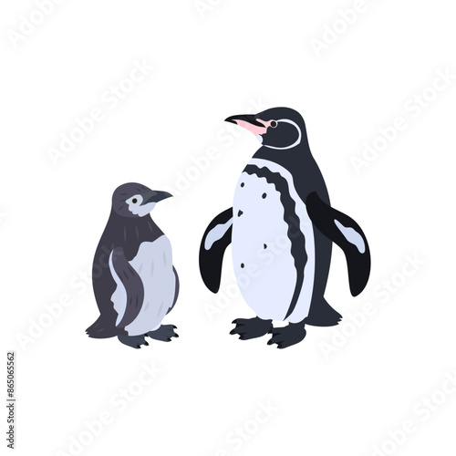 ガラパゴスペンギンの雛と成鳥。フラットなベクターイラスト。
Galápagos penguin chick and adult. Flat vector illustration.