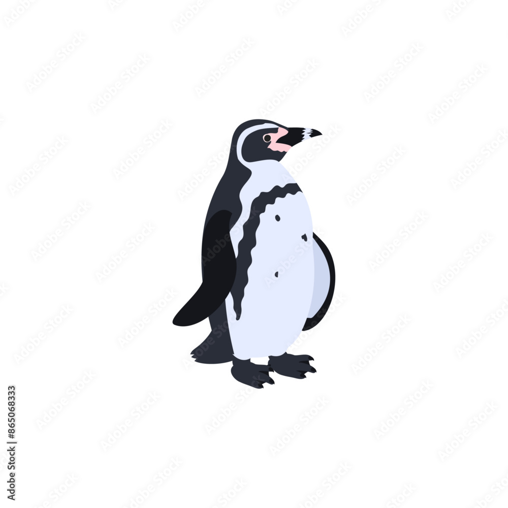 フンボルトペンギン。フラットなベクターイラスト。
Humboldt penguin (Peruvian penguin). Flat vector illustration. フンボルトペンギン。フラットなベクターイラスト。
Humboldt penguin (Peruvian penguin). Flat vector illustration.
