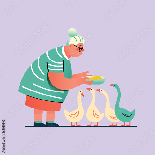 Old senior woman feeding geese, grandma with birds, cartoon flat character design. Vector illustration