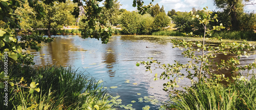 Foto nature purity grass and trees on the the pond in vasteras city in Sweden