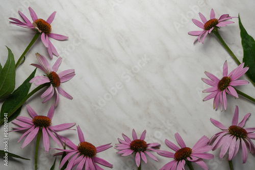 Floral frame with Echinacea flowers on a white marble table. Top view, flat lay, copy space. Blank paper card, invitation.