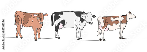 cow set, bull, livestock one line color, colored art. Continuous line drawing of farm, nature, agriculture, farm animals, rural life, ranch.