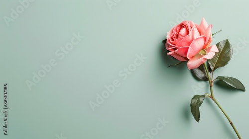 A minimalist design featuring a delicate pink rose border, with a clean and simple layout that offers plenty of space for text or graphics. Ideal for projects that require a soft and romantic touch.