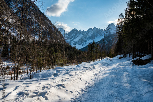 The wild Riofreddo Valley nestled in the Julian Alps. photo