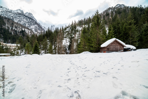 The wild Riofreddo Valley nestled in the Julian Alps. photo