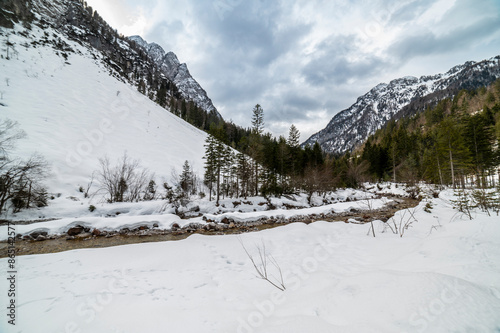 The wild Riofreddo Valley nestled in the Julian Alps. photo