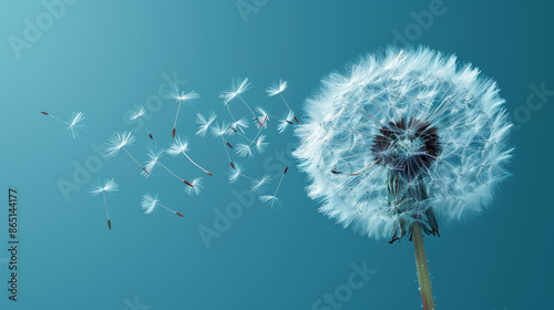 Dandelion Seed Head Line Art with Minimalist Design