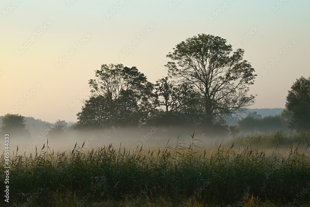 Beautiful view of the Belgian countryside Beautiful view of the Belgian countryside
