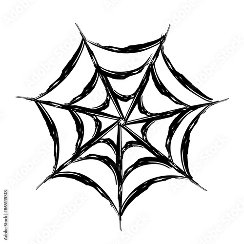 Vector illustration. The vector spider web is highlighted without a background.
