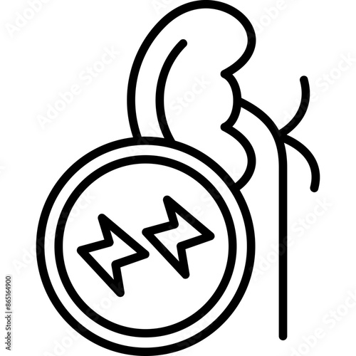 Kidney Inflammation Icon