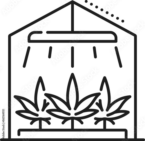 Cannabis farm line icon. CBD and marijuana, weed extract symbol. Medical CBD farm outline icon, medicine weed product or natural marijuana drug line vector sign with cannabis plants in greenhouse