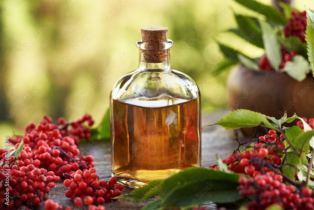 Red elderberry tincture for immune support in a glass bottle Red elderberry tincture for immune support in a glass bottle