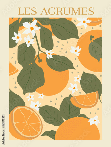 Abstract fruit poster. Modern trendy citrus fruits design for wall prints. Aesthetic vector illustration.