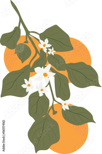 Orange branch for different purposes use. Groovy oranges and leaves clipart.  Aesthetic vector illustration.