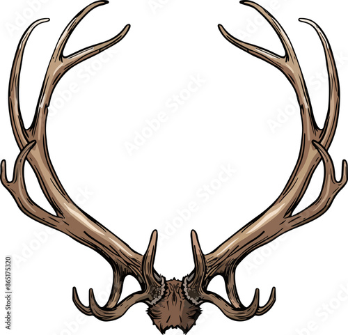 antler vector illustration isolated on transparent  background. 
