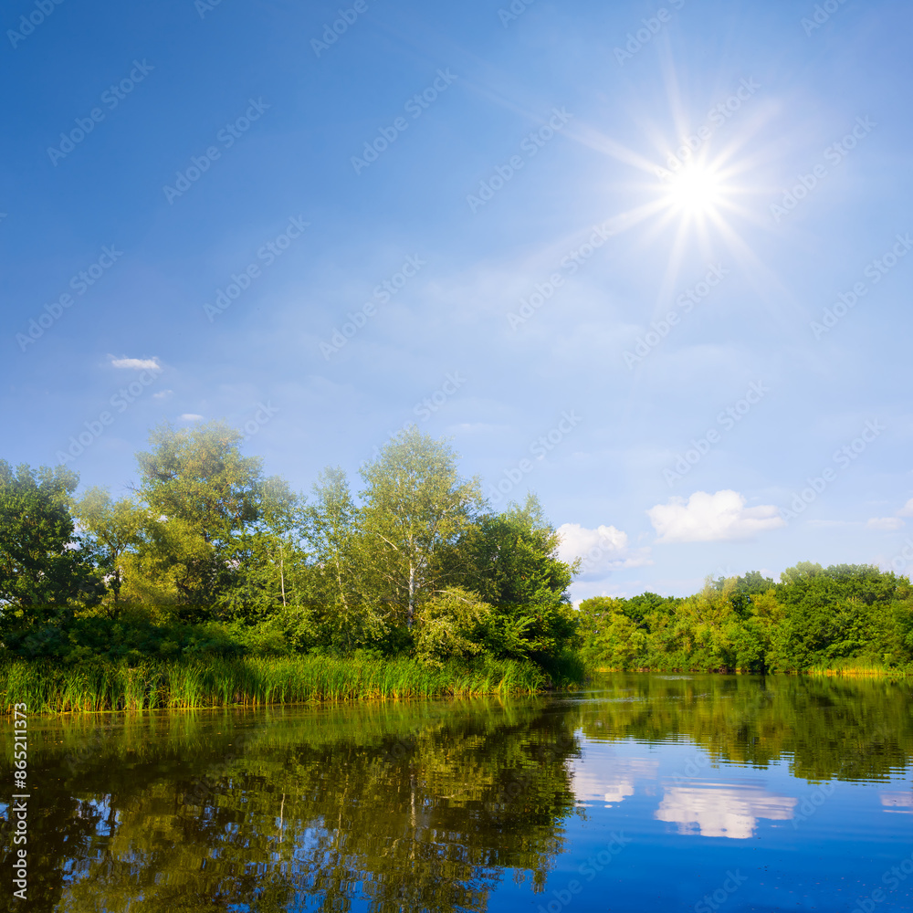 Obraz premium calm summer river with forest on coast at the sunny day
