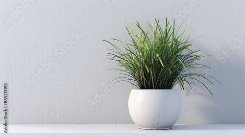 Minimalist interior decor with ceramic vase and plant, minimal shadows on the wall neutral pink, minimal style mock up with copy space