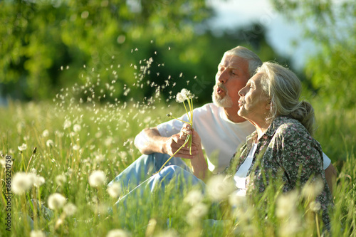 Obraz na płótnie Portrait of senior couple sitting on the grass in the park