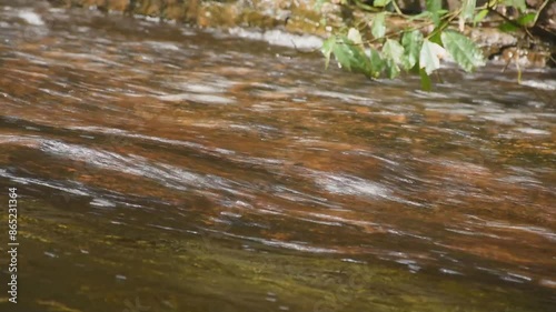 Wallpaper Mural water flowing on the rock and wave splashing in river Torontodigital.ca