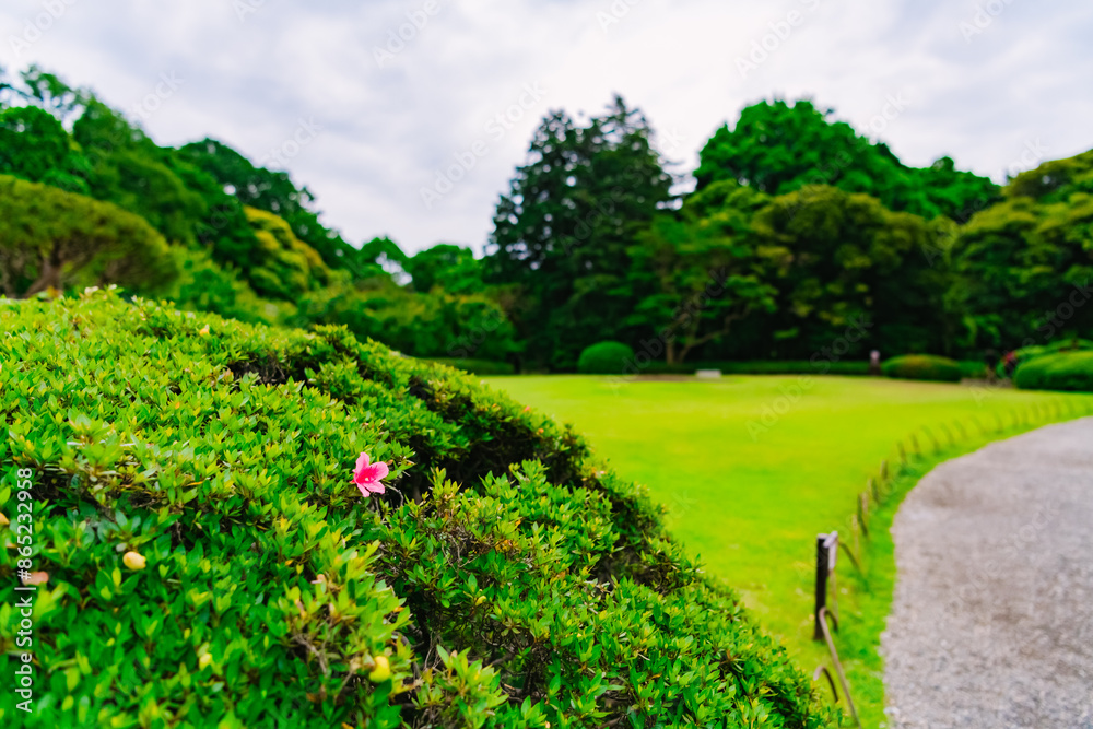Obraz premium path in the park