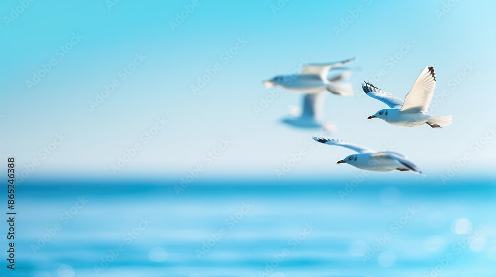 Obraz premium Seagulls flying over a tranquil sea