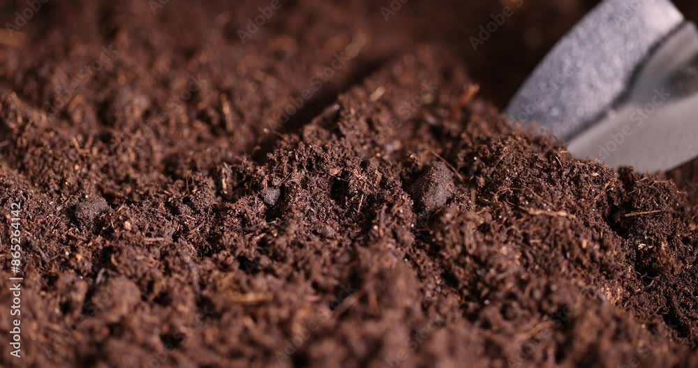 fertile soil close-up for sowing plants, details of agricultural soil to improve the quality of crop plants fertile soil close-up for sowing plants, details of agricultural soil to improve the quality of crop plants