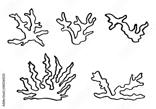Hand drawn set of corals icons in Scandinavian style. Ocean exotic coral reefs. Abstract organic shape of underwater plant. Vector illustration isolated on a white background. Undersea world.