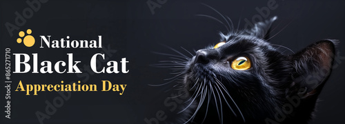 A cute black cat on dark background, National Black Cat Appreciation Day