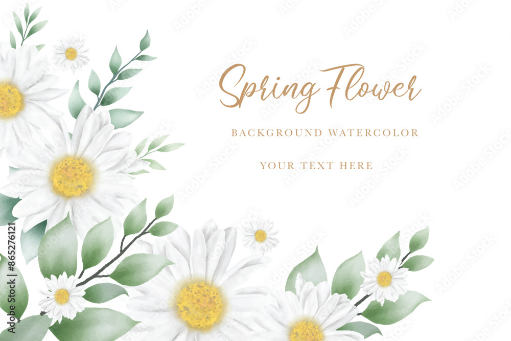 Hand drawn watercolor daisy flower background Hand drawn watercolor daisy flower background