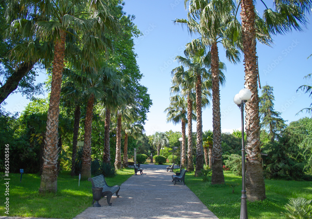 Obraz premium Southern Cultures Park in Adler (Sochi)