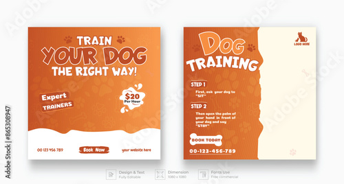 Pet training , veterinary clinic, pet grooming, pet clinic social media post with cute pets and animal . happy pet, cats. Vector cartoon illustration