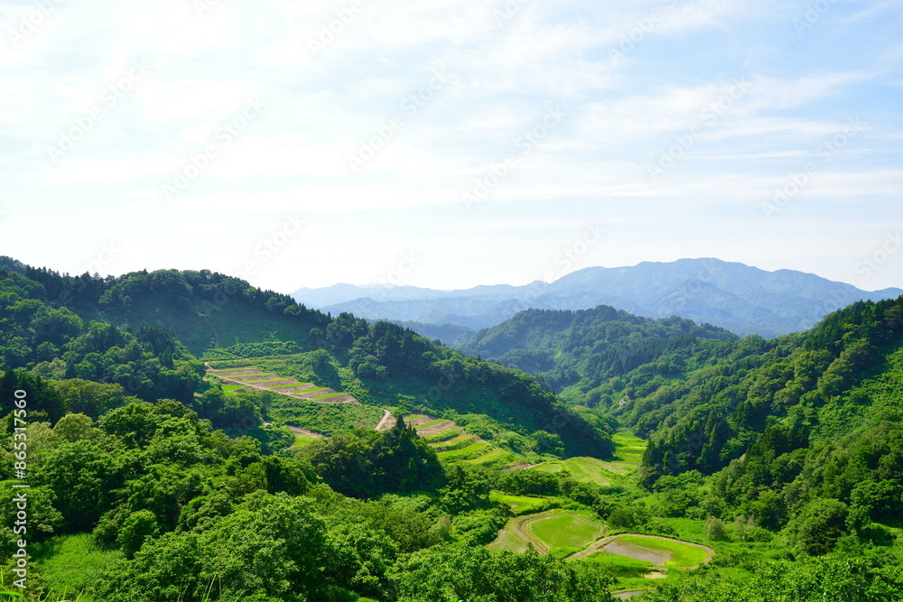清水の棚田(新潟県) 清水の棚田(新潟県)