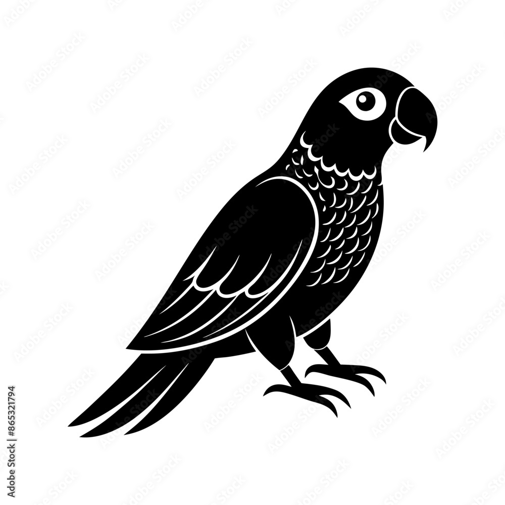A Parrot Silhouette A Parrot Silhouette
