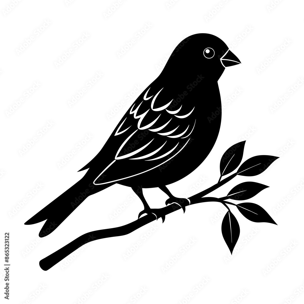 Obraz premium A Highly Detailed Society Finch Silhouette