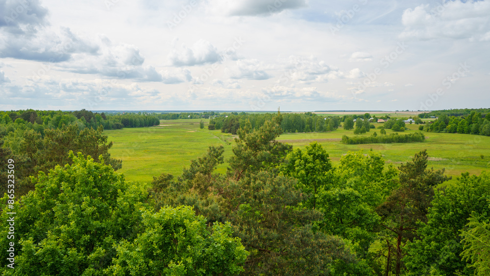 Obraz premium spring landscape of the Southern Roztocze from the tower in Tymce, pine and oak trees in the foreground