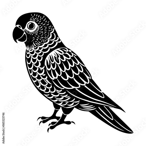A Lovebird Silhouette