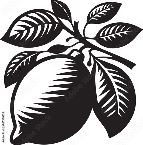 lemon vector silhouette  white background