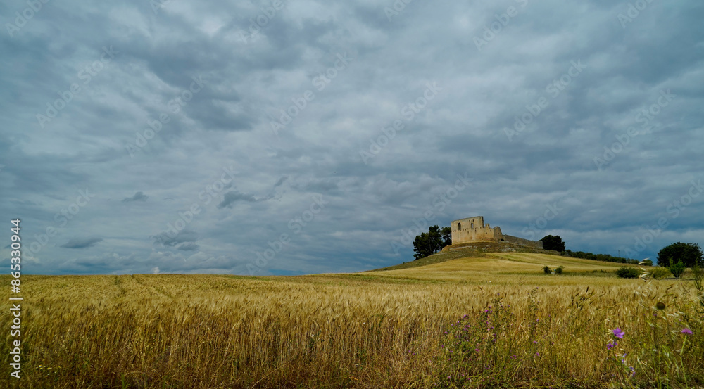 Fototapeta premium Castello Svevo di Gravina in Puglia. Bari, Puglia. Italy