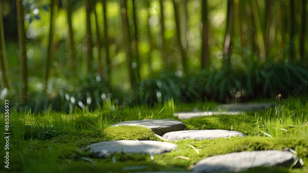 Bamboo tree on the yard. moss and stones background Bamboo tree on the yard. moss and stones background