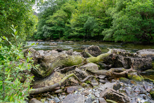 walking the Aberglaslyn Pass in North Wales photo