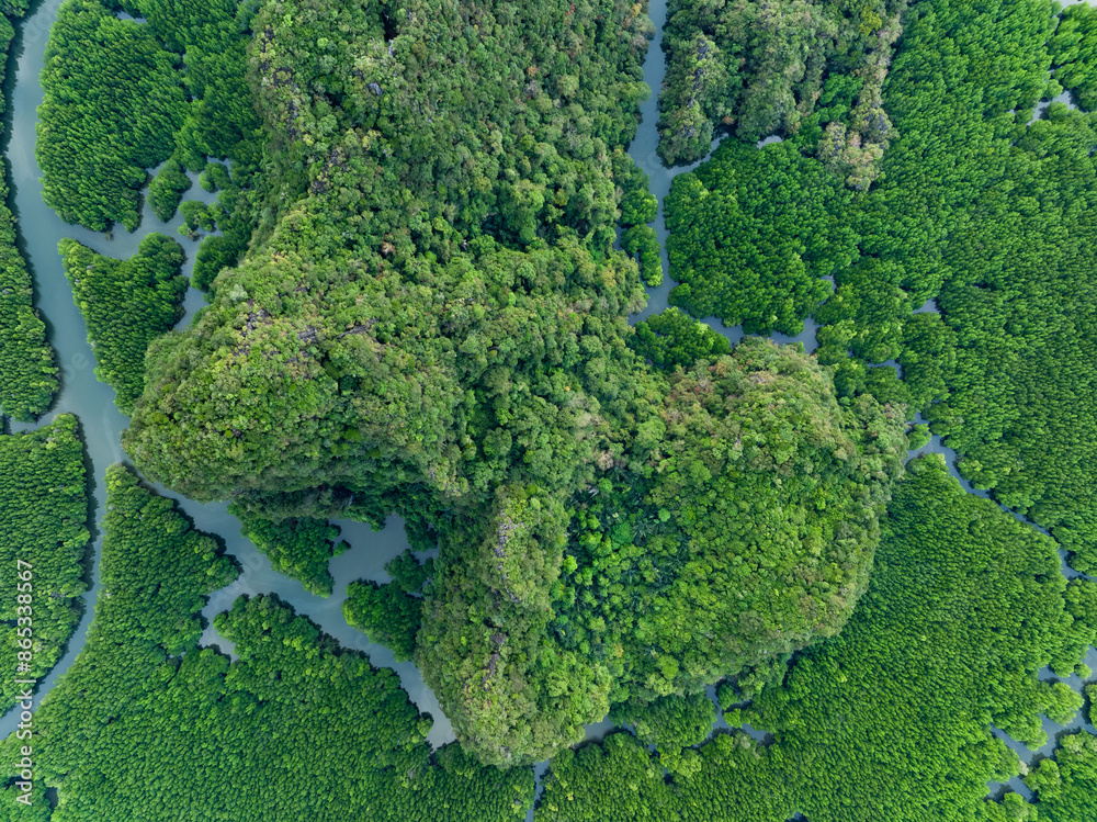 View from above, aerial shot, stunning view of Ao Phang Nga (Phang Nga Bay) National Park with a river flowing through a mangrove forest Thailand.
