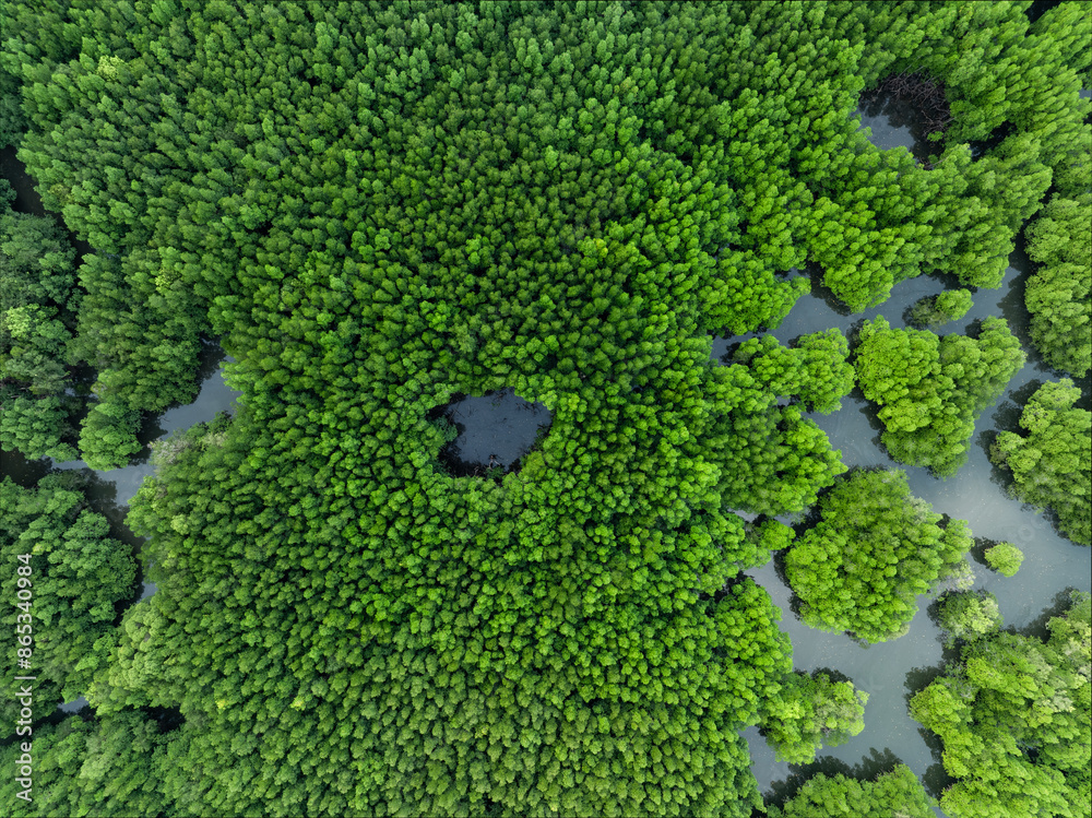 View from above, aerial shot, stunning view of Ao Phang Nga (Phang Nga Bay) National Park with a river flowing through a mangrove forest Thailand.